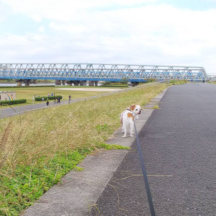 Acb0fe6b 7ee7 4901 9a01 d4cf598eeddd 1541152327319