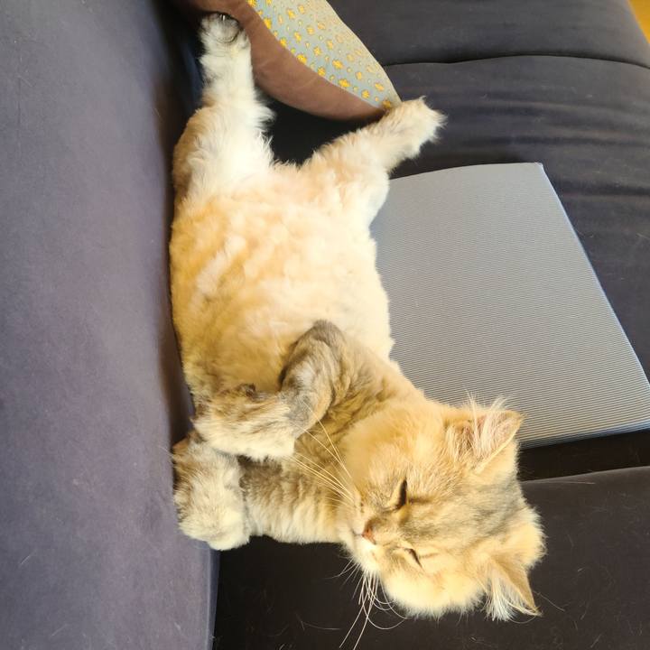 Acb124c2 735d 4138 b674 10983c16a037 1721607056061