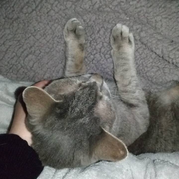 Acb12c73 54a7 4e25 a917 7e6ffa203aa0 1685732852568