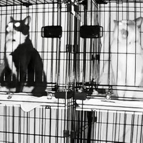 Acb14530 ad6a 4b63 9c5b e526cc462e68 1731784176928