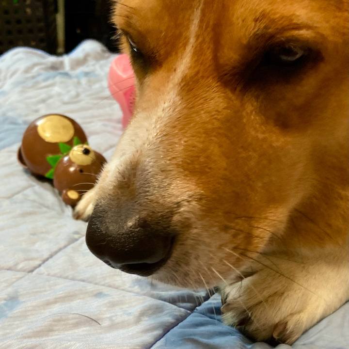 Acb1dbb8 51e1 47bd ab64 e85f31436a85 1721868756605