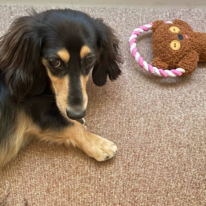 Acb1fd67 59a1 4012 a748 4bfc054282d0 1695098538812