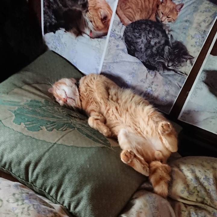 Acb210dd 4f86 404d bb88 524932fb61fe 1657694233494