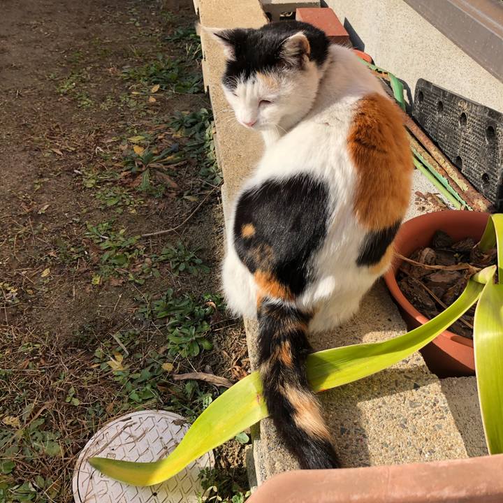 Acb21407 26fd 466a 8982 5384293c7d60 1611842060803