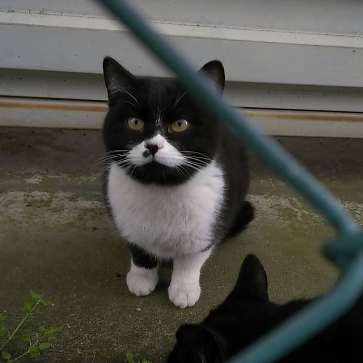 Acb21cbd 5ddb 4790 9572 d824732b5308 1553140217554