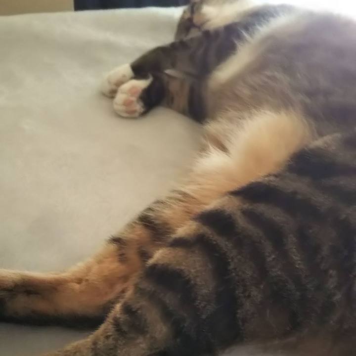 Acb23de4 cb6b 4b43 9187 effae6f13be2 1631692218012