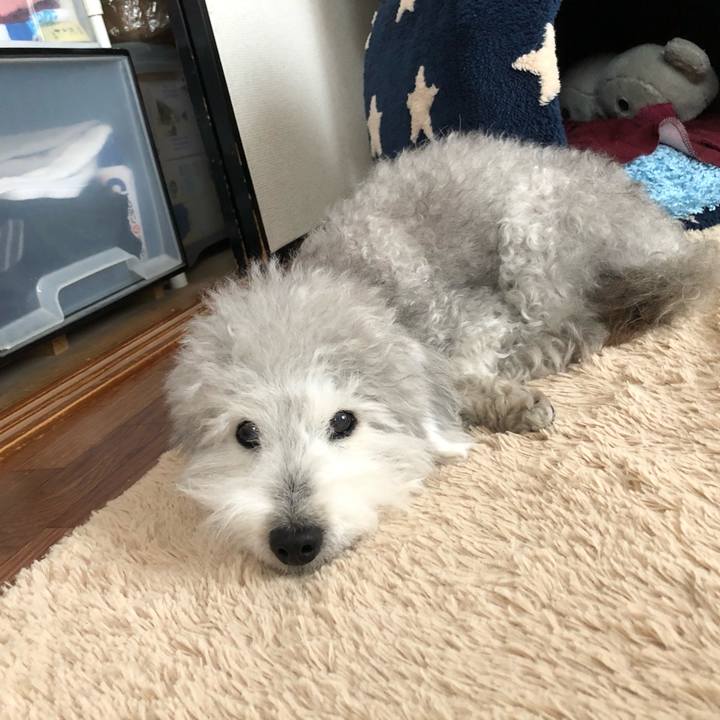 Acb265f8 06a3 4a00 ad6d 76d721fd8366 1620893745994