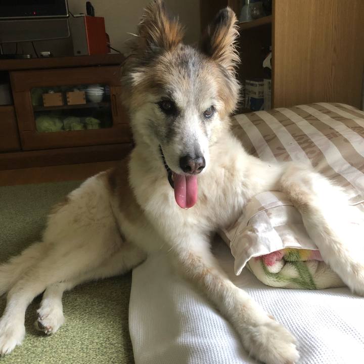 Acb2706f fcbf 4e8a 9631 eb289a824b9a 1536622967745