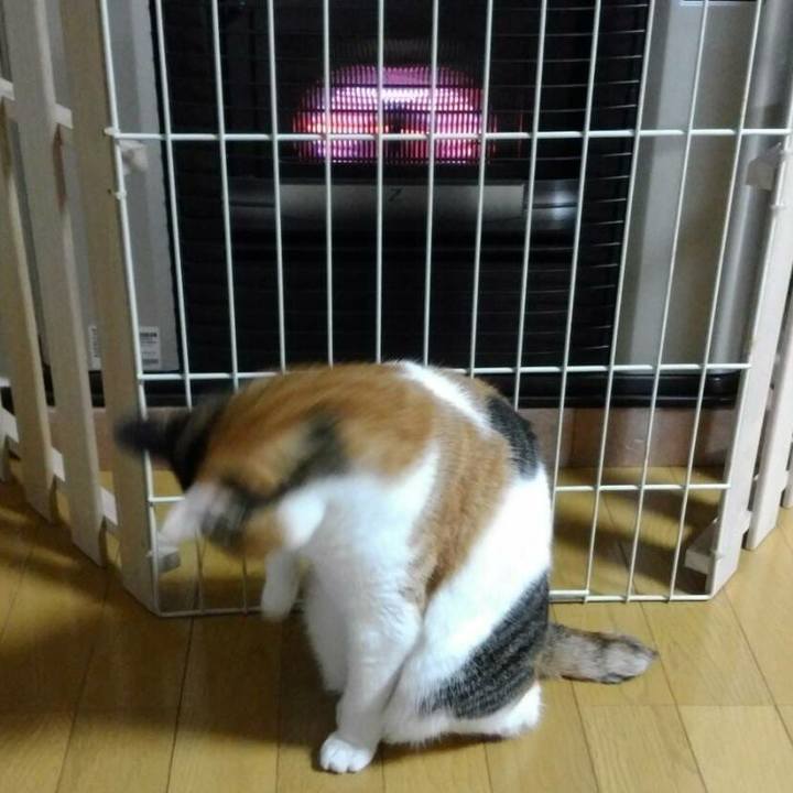 Acb276e3 3369 442a b374 cde76b9e2989 1508328221994