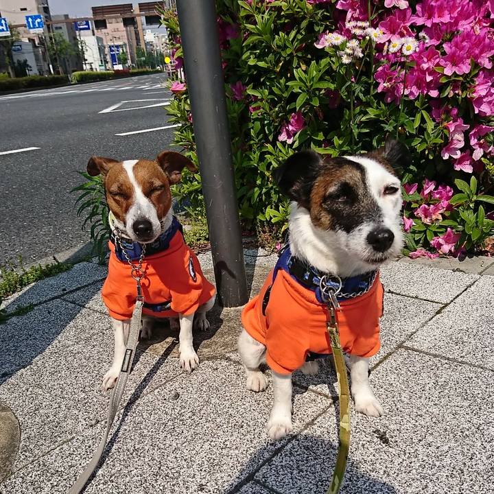 Acb2785e a6d9 4b17 97b1 a2cc7aa92957 1588463060923