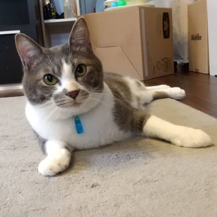 Acb28713 7e6e 4c50 818c 52cdb4ca4dff 1612223485193