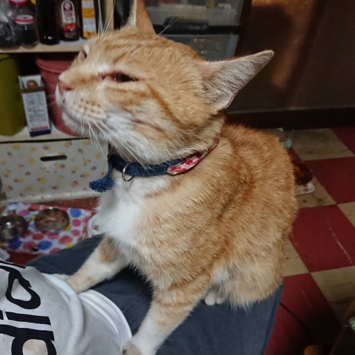 Acb2aef0 ff3f 452f bf4c b26ad718562e 1559506318424