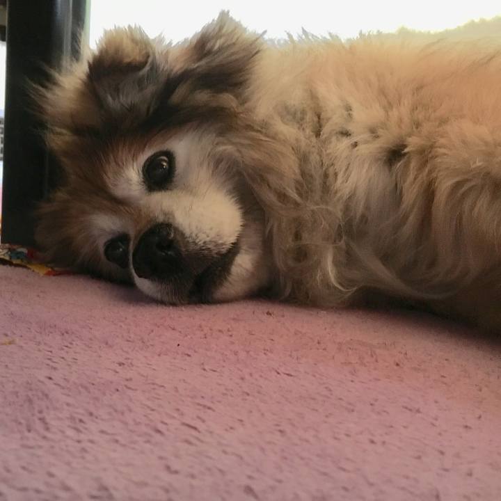 Acb2b94b 5ccc 4942 abc0 ed2f5e00f348 1563902402680