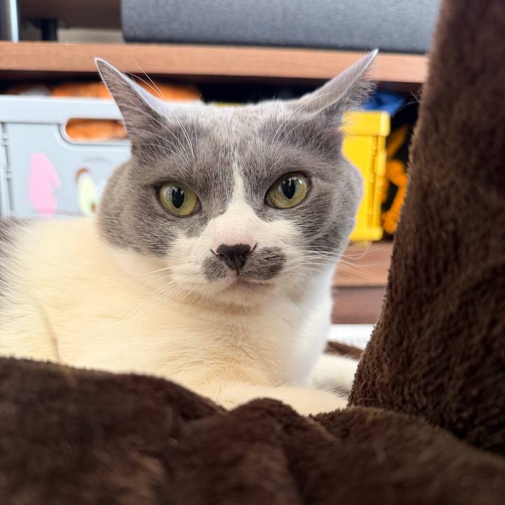 Acb2bced 1378 478d b8a4 e6d5d841c563 1766104488007