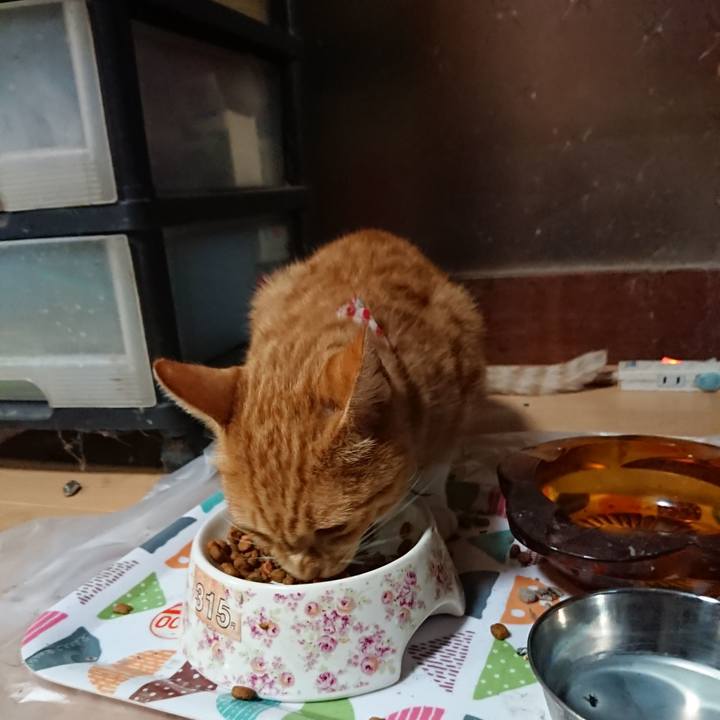 Acb2bdaa baac 4272 8af1 781dea444b73 1598954038543