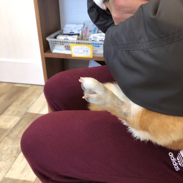 Acb2c0ec b204 4375 810f 8558d786d6bb 1583627820247