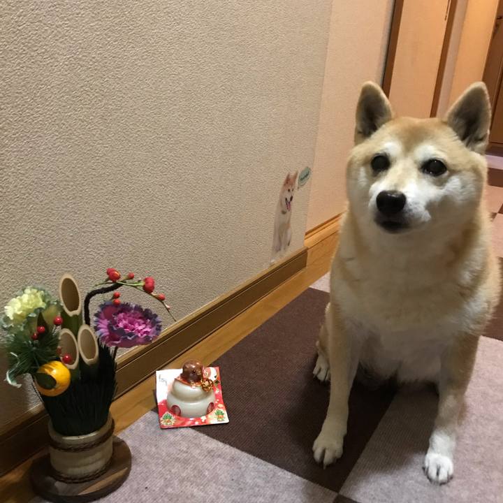 Acb2d528 ddfc 46c9 aa3b 5d348ee89492 1547039002819