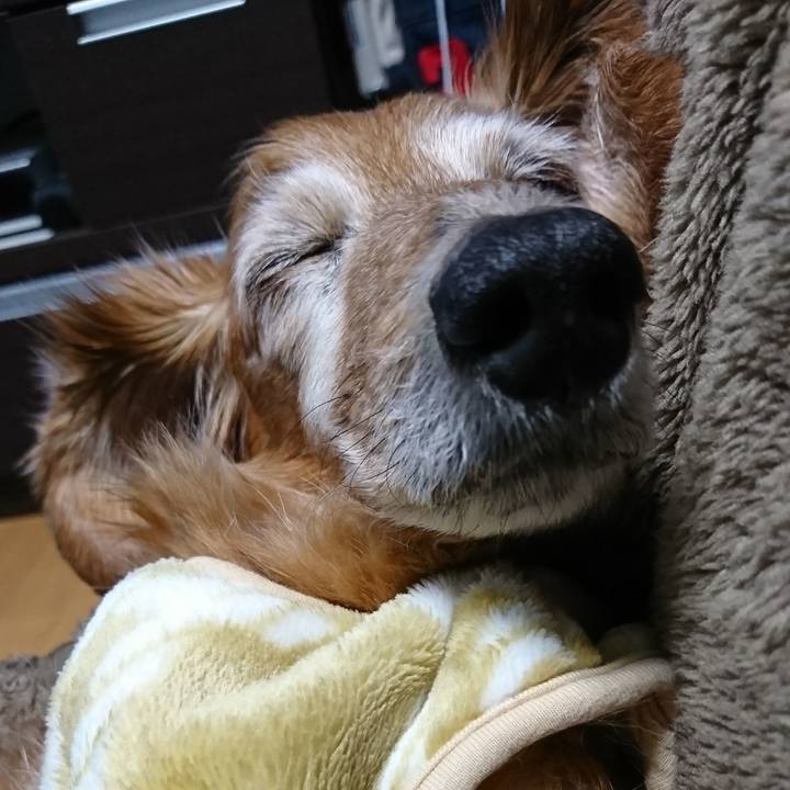 Acb2ee64 a9d1 4f98 9625 c6dfe362e2bb 1517158235007