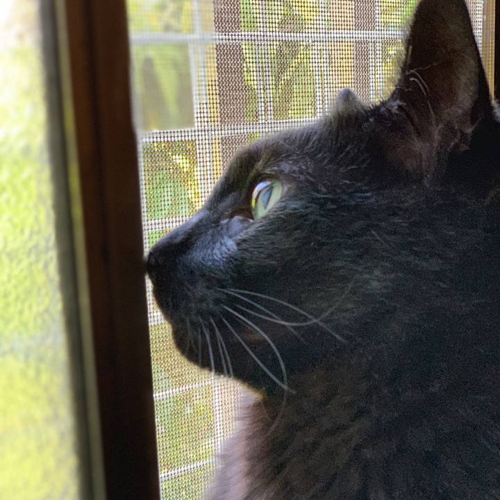 Acb32011 4248 4279 be48 9a6b2559225f 1558659041610