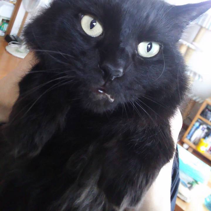 Acb330c0 4d1f 4bfd 9fdf a3a45f18a0bc 1534420010816