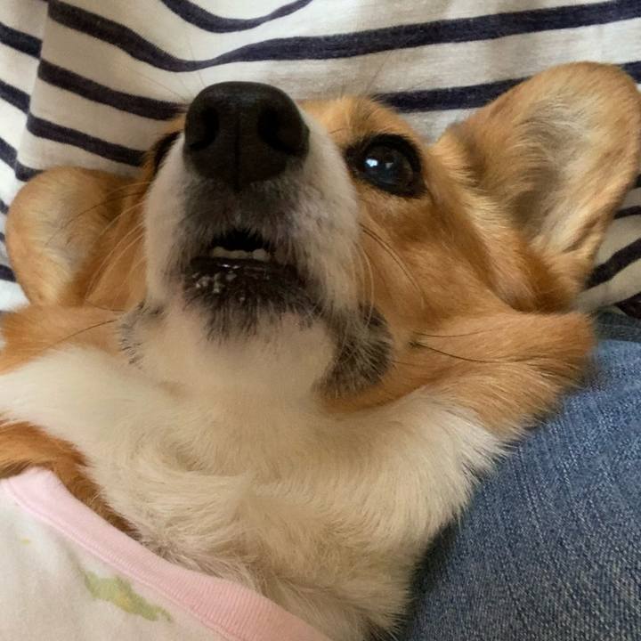 Acb34b50 eb25 4acf a023 6dda1cbf9dfa 1618709659529