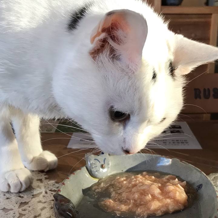 Acb35f94 c95d 41f8 8ef3 a2e23aae5ffe 1656706159878