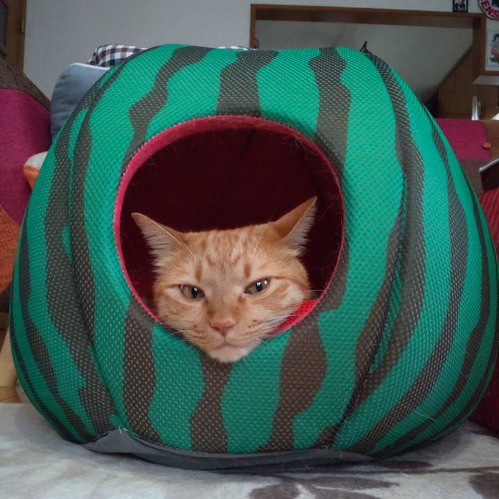 Acb363c9 a5b8 4534 9fcc 38336354e068 1637546061714