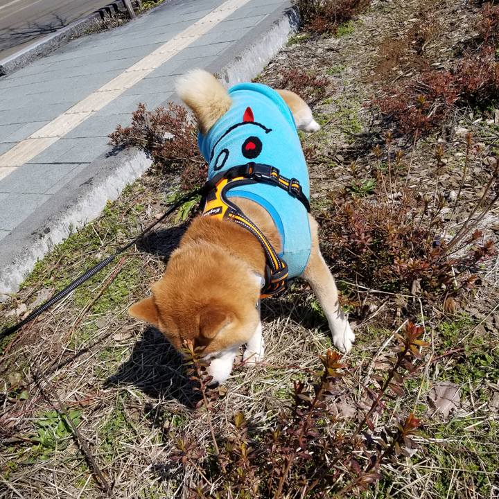 Acb3d103 5da5 4ba5 b9b7 f7241ee24592 1584521831125