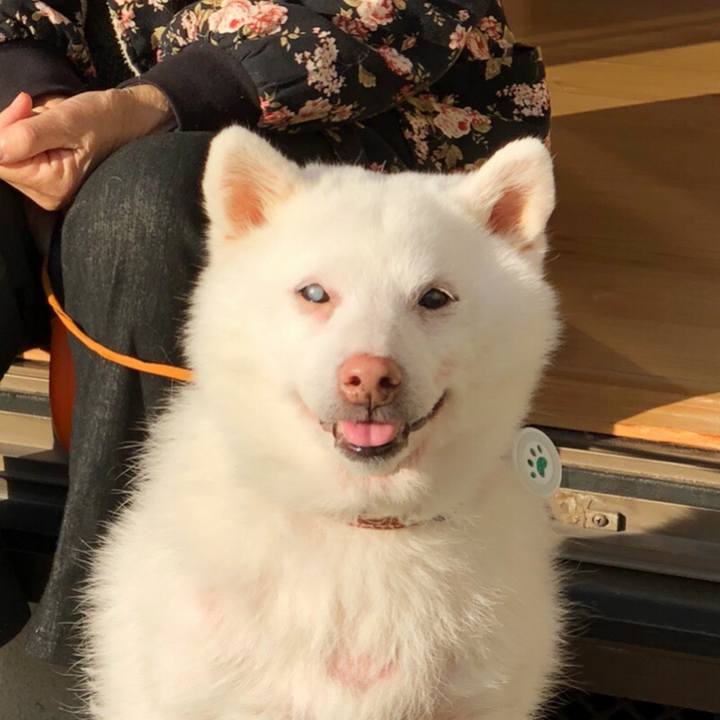 Acb3e33d 4a95 405d ba21 afadd5ccb670 1644278455355