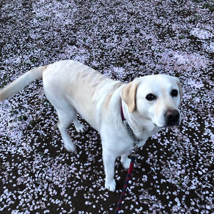 Acb3e383 1260 4c0d 83f9 333e8b3f1616 1649156073927