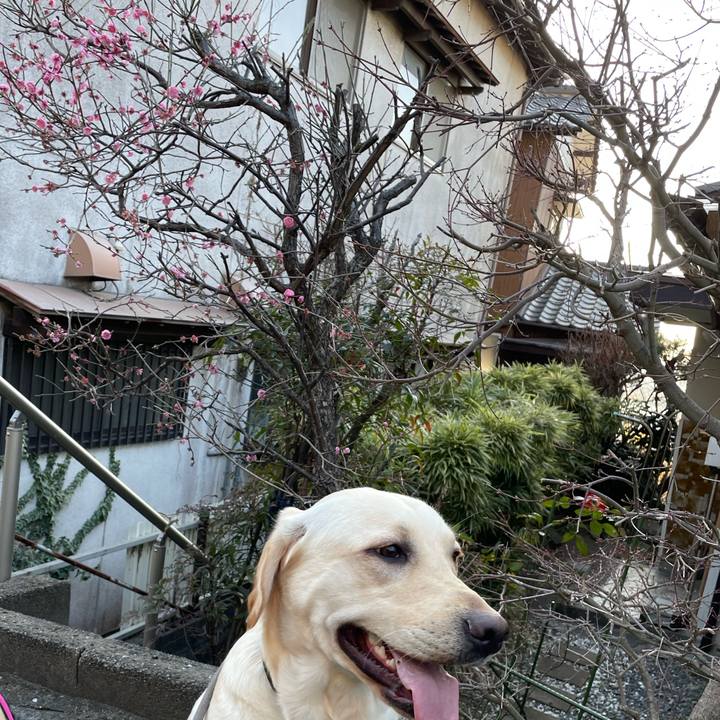 Acb3e9b6 be8e 4f71 9e9c 5d0a6674483a 1646637549722