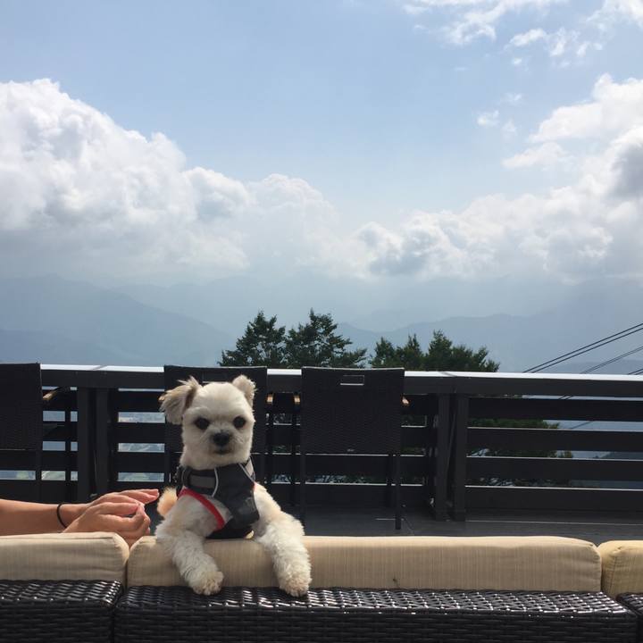 Acb3ec87 0fb1 4aa4 860c 9f769ad9971e 1566697282717