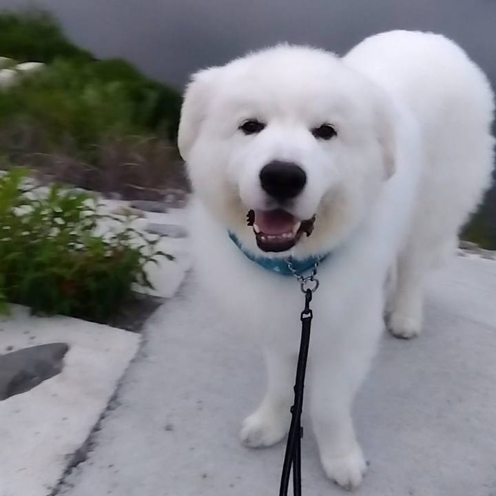 Acb41006 1799 43af 8637 92055a5dd315 1691902549452