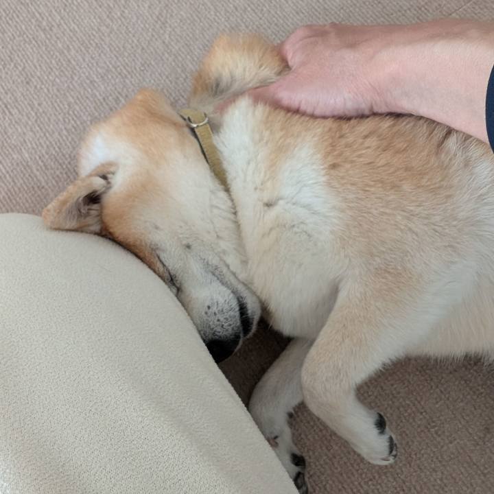 Acb436bf b313 40a1 8d81 eb29eaa384a8 1768136129007