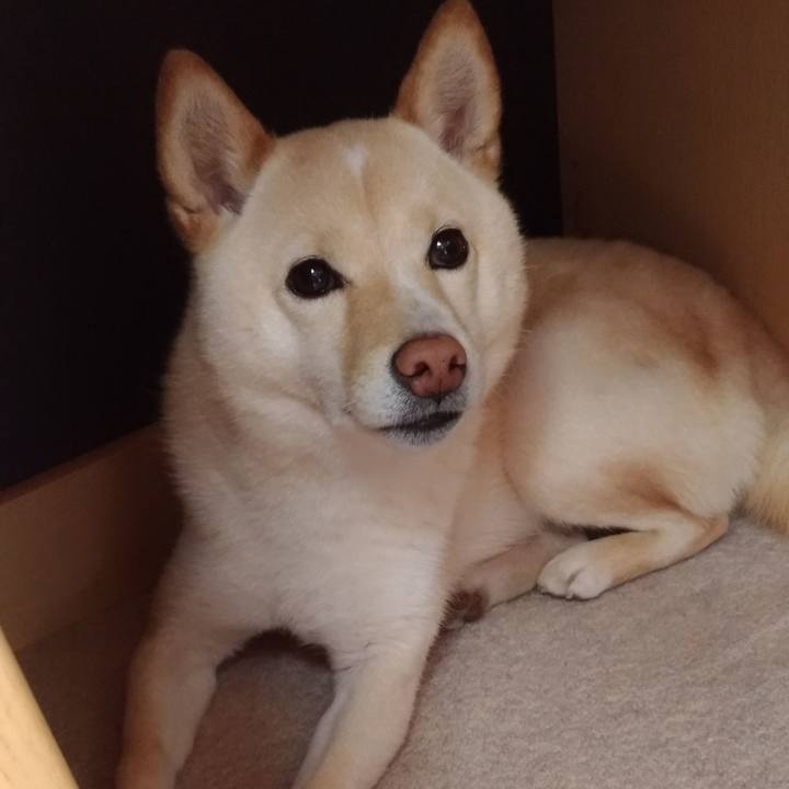 Acb43fbf 5156 41e2 831f 69003dffce38 1586476377306