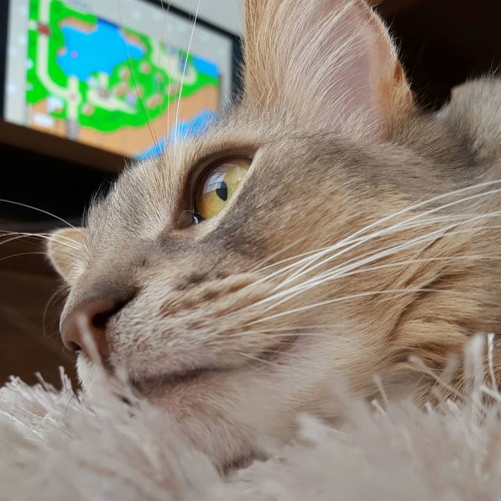 Acb468c6 a707 4ffa bc04 7eeb8cefc02a 1523078477508