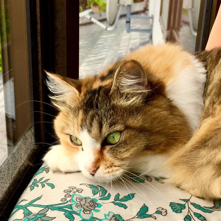 Acb47ee8 731d 4658 a171 efb7c9b0629c 1562820080577