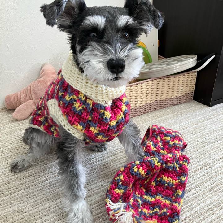 Acb48bce dd62 427d 8ac3 c8bd7b8053ab 1767873900270