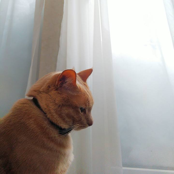 Acb49f4b 77c0 4c5d 858d ab14690d02d1 1642304410422