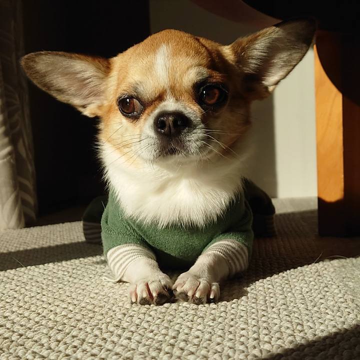 Acb4c65a cdd1 4659 89b1 cc8475f9982a 1670805817054