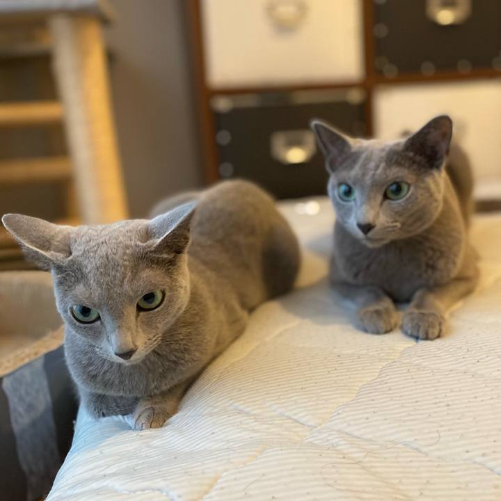 Acb4da70 e00f 4362 8ac0 2bbb0af904d7 1694151319293