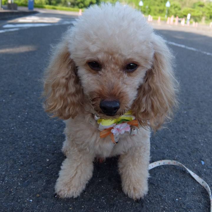 Acb51218 1bd2 4dba abad 4703c013ff28 1590748780590