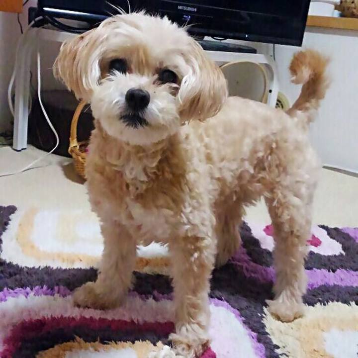 Acb5165b 4107 4858 9bf4 241ea8b21ec6 1562935599004