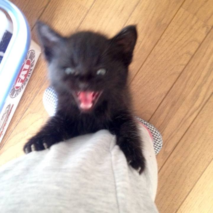 Acb5187e 4756 4f38 b477 cb2b296174d8 1527899609139