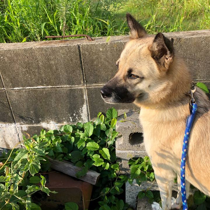 Acb51a79 2f3f 4d51 a096 683486d255f2 1537354819272