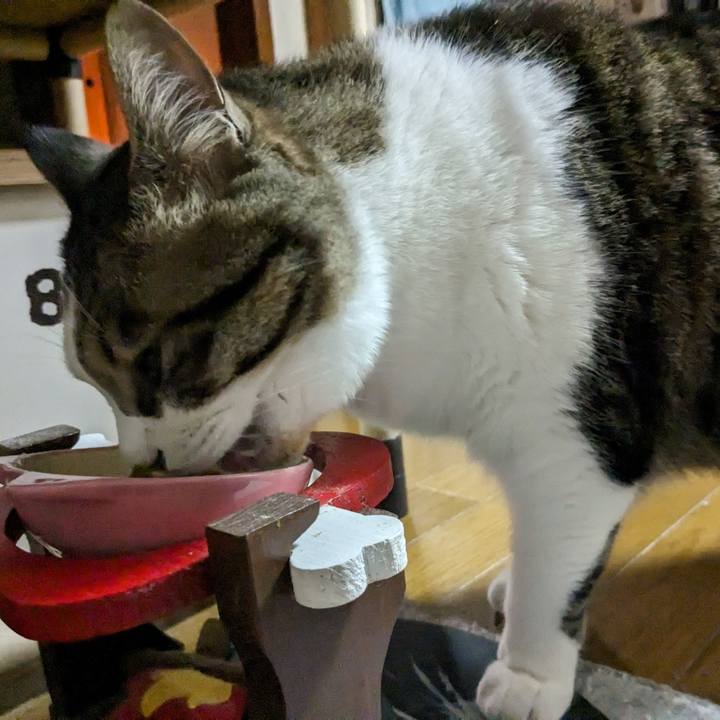 Acb5c772 03cf 4e5a b29d 8d2e38968e21 1716648043082