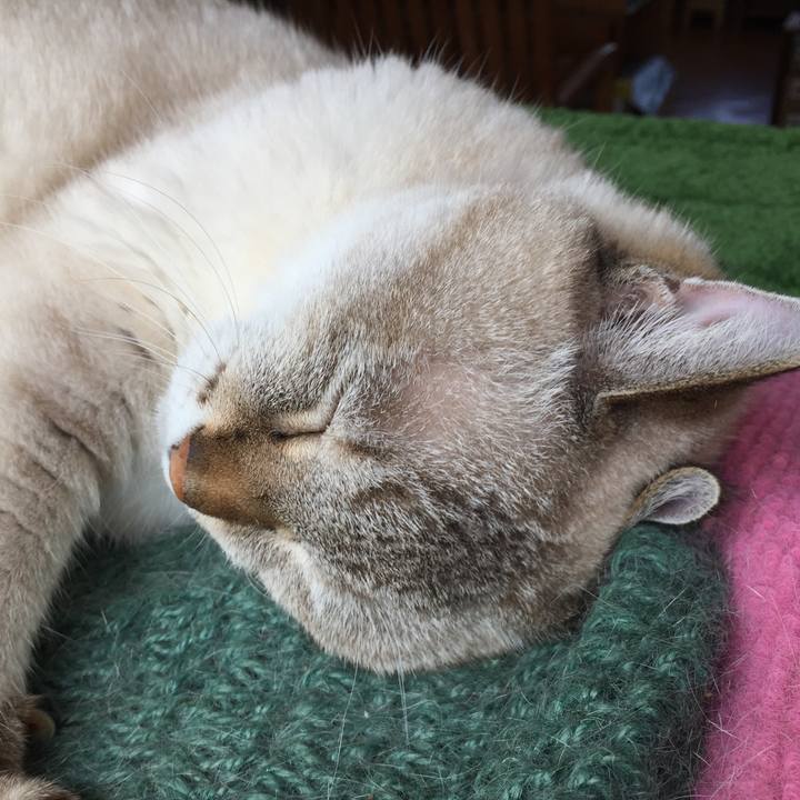 Acb5e2c6 635a 4dbb a1c8 f7d94b0f08e0 1568524681403