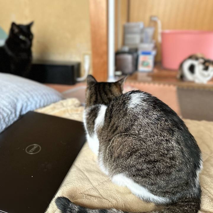 Acb62381 8223 40ce b0da 91fa90f20cbe 1668392174550