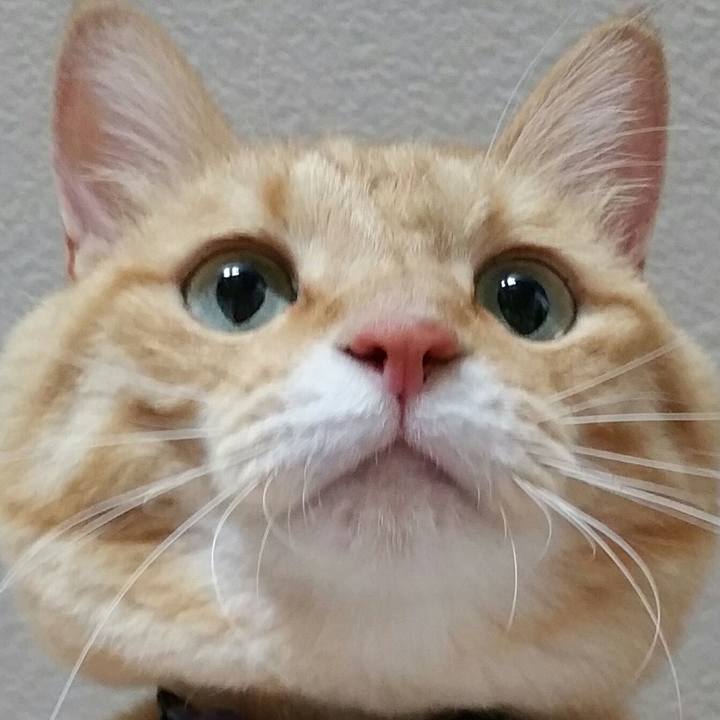 Acb6690a 539a 4c6b bbd7 807a5db5d9ef 1534554552609