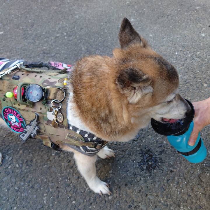 Acb67316 023a 4530 a941 20ed707df939 1706185001927